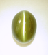 Picture of a cat's eye Chrysoberyl cabochon.
